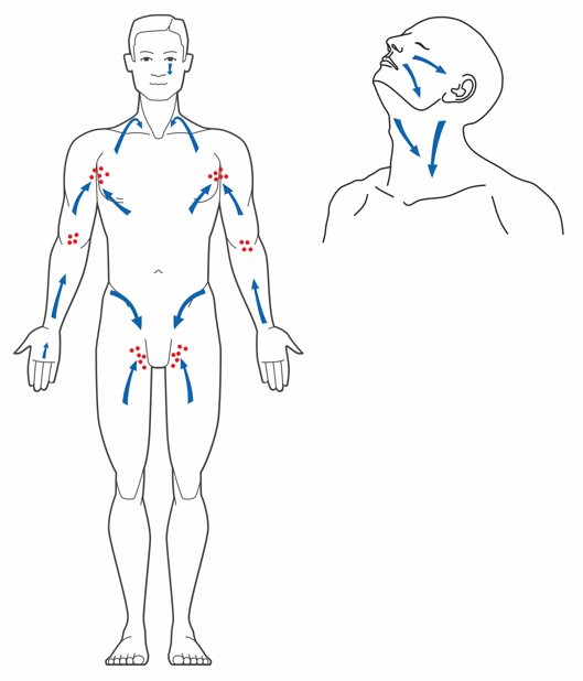 A drawing of a person with arrows Description automatically generated