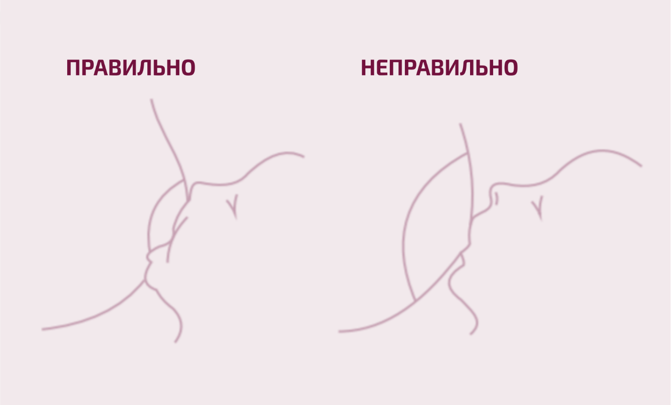 A person's breastfeeding process</p>
<p>Description automatically generated with medium confidence