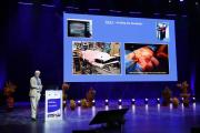 pilt