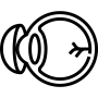 sarvkest