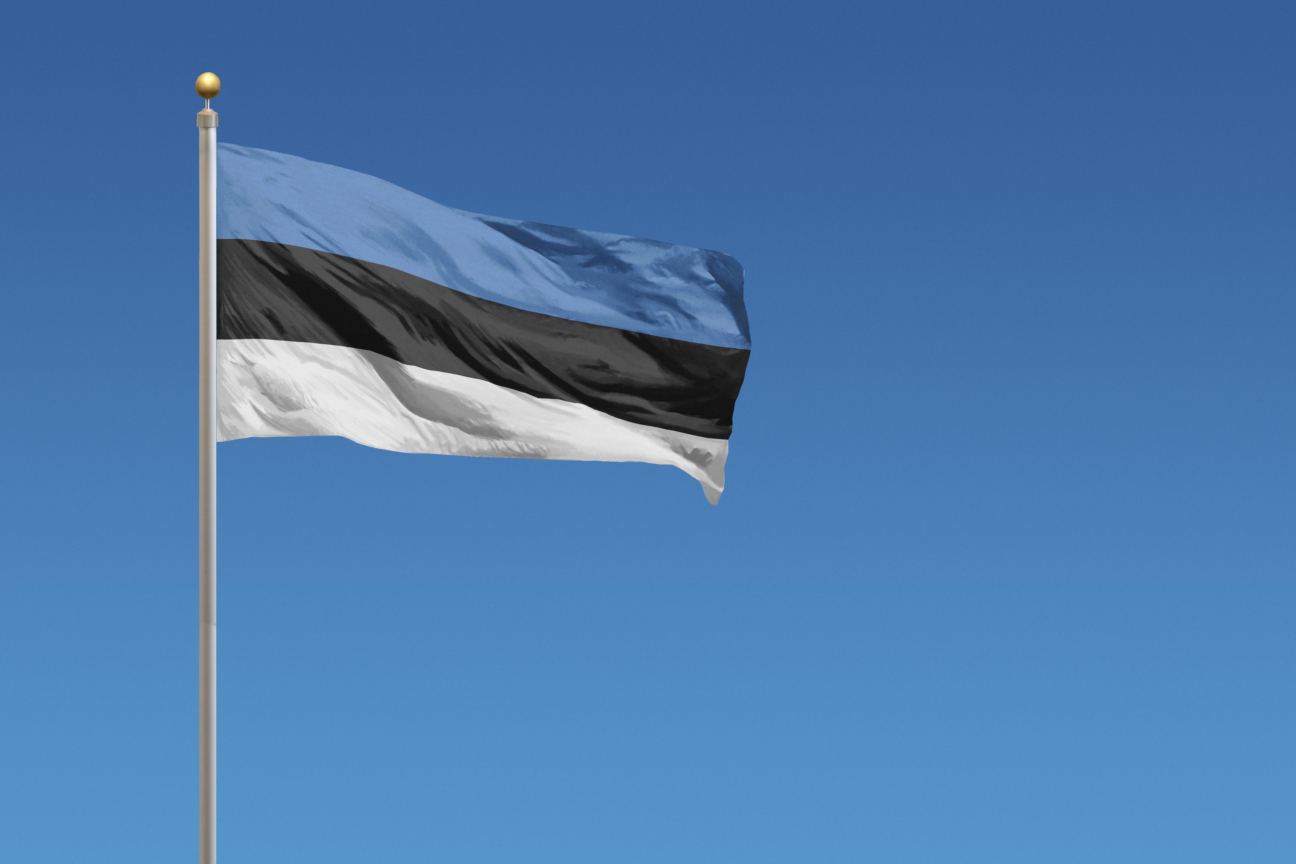 sinimustvalge Eesti lipp