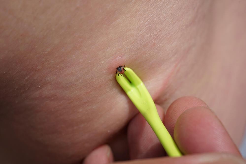 puuk